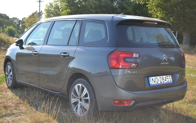 Citroen C4 Picasso cena 38000 przebieg: 205000, rok produkcji 2015 z Brodnica małe 121